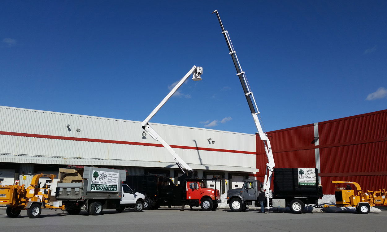 Accueil | Service d'entretien d'arbres Viau Accueil | Service d'entretien d'arbres Viau