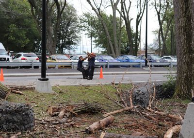 abattage d'arbre en toute sécurité(abattage d'arbre) - Service d'entretien d'arbres Viau