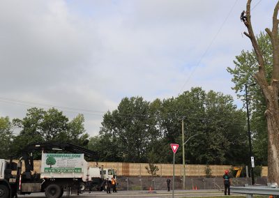 Camion prêt a recevoir l'arbre abattu (abattage d'arbre) - Service d'entretien d'arbres Viau