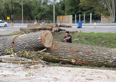 coupe à la tronçonneuse aéroport Dorval (abattage d'arbre) - Service d'entretien d'arbres Viau