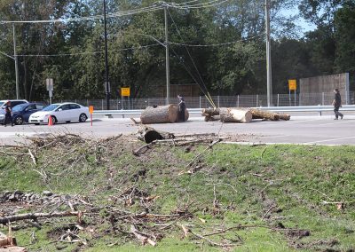 Billot d'arbre à l'aeroport de Dorval(abattage d'arbre) - Service d'entretien d'arbres Viau