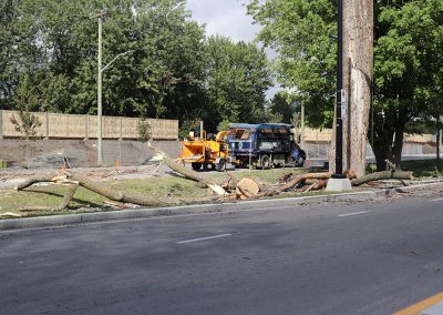 Déchiquetage d'arbre abattu(abattage d'arbre) - Service d'entretien d'arbres Viau