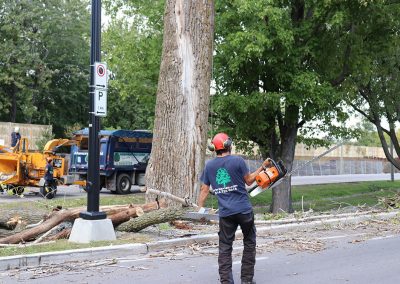 Homme avec tronconneuse(abattage d'arbre) - Service d'entretien d'arbres Viau