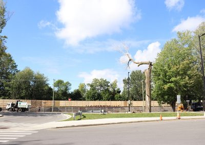 Morceau d'arbre qui tombe à l'aeroport de Dorval(abattage d'arbre) - Service d'entretien d'arbres Viau