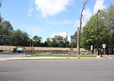 Service de coupe d'arbre a l'aeroport de Dorval (abattage d'arbre) - Service d'entretien d'arbres Viau