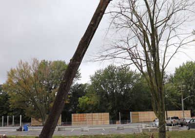 tronc entrain de tomber (abattage d'arbre) - Service d'entretien d'arbres Viau