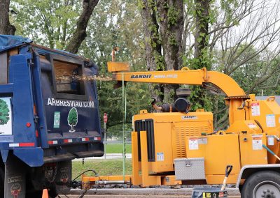 Déchiquetage arbres à Montréal - Abattage Arbres Viau à Terrebonne