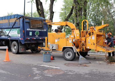 utilisation d'une déchiqueteuse à arbre (abattage d'arbre) - Service d'entretien d'arbres Viau