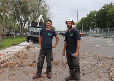 Équipe abattage de Montréal - Abattage Arbres Viau à Terrebonne