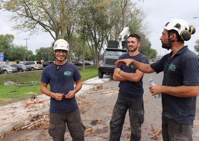 Équipe de Montréal - Abattage Arbres Viau à Terrebonne