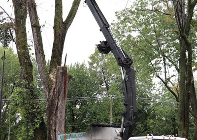 Camion avec grue - Abattage Arbres Viau à Terrebonne