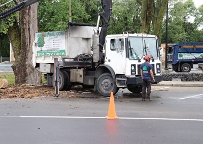 Camion d'abattage - Abattage Arbres Viau à Terrebonne