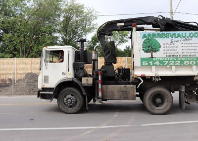 Camion équipé avec une grue - Abattage Arbres Viau à Terrebonne