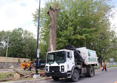 coupage d'arbre et camion déchiqueteur (abattage d'arbre) - Service d'entretien d'arbres Viau