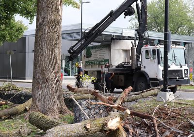 utilisation de grue pour ramasser les arbres(abattage d'arbre) - Service d'entretien d'arbres Viau