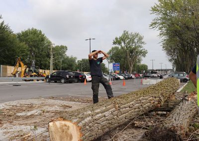 équipe d'abattages - Abattage Arbres Viau à Terrebonne