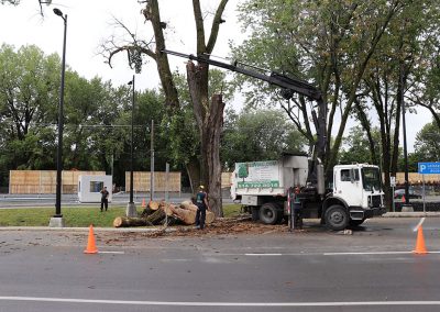 équipe et équipement - Abattage Arbres Viau à Terrebonne