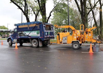 équipement d'abattage - Abattage Arbres Viau à Terrebonne