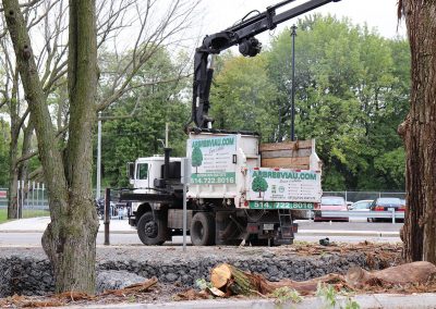 Grue pour abattage arbre à Dorval - Service Arbre Viau