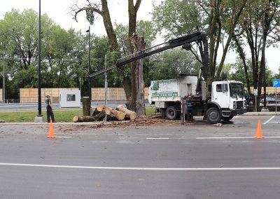 Grue qui dépose les troncs (abattage d'arbre) - Service d'entretien d'arbres Viau