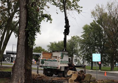 Grue qui soulève les morceaux (abattage d'arbre) - Service d'entretien d'arbres Viau