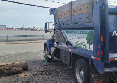 Camion Arbre Viau - Service entretien arbres Viau