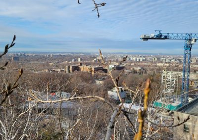 Élagage arbre pour dégagment à Montréal et ses environs - Service entretien arbres Viau Inc