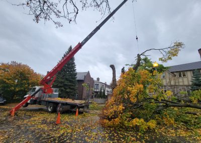 Grue qui soulève un arbre - Service Abattage arbe sur la Rive-Nord de Montréal - Service Entretien Arbre Viau