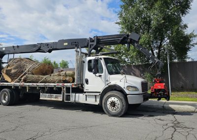Transport Arbre - Service abattage arbre et dessouchage à Montréal - Service Entretien Arbre Viau