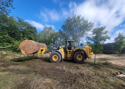 Transport du tronc - Service Abattage arbre sur la Rive-Sud - Services entretiens Arbres Viau