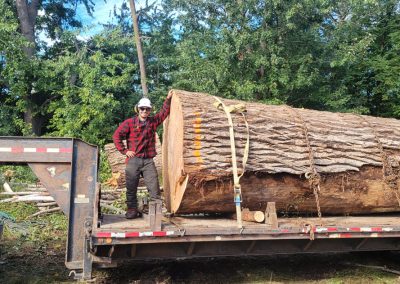 Tronc attaché a notre camion - Service Abattage arbre sur la Rive-Sud - Services entretiens Arbres Viau