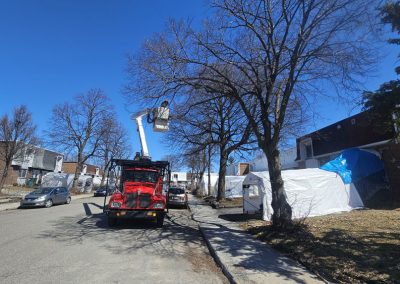 Camion à nacelle - Service Émondage arbre sur la Rive-Sud de Montréal et ses environ - Services entretiens Arbres Viau