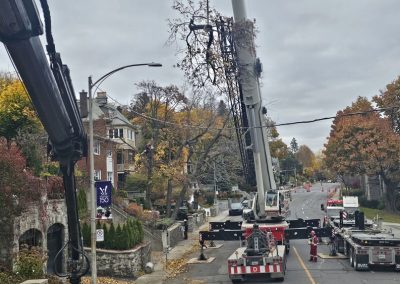 Camion de transport pour arbre abattu - Service abattage arbre sur la Rive-Sud de Montréal - Services entretiens Arbres Viau
