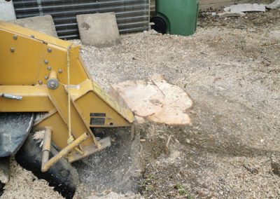 Essouchement creusant dans la terre - Service abattage arbre et dessouchage à Montréal - Service Entretien Arbre Viau