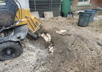 Essouchement creusant dans la terre - Service abattage arbre et dessouchage à Montréal et ses environ - Service Entretien Arbre Viau