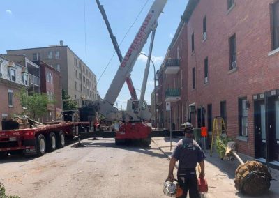 Grue pour soulever un arbre abbatu - Service abattage arbre sur la Rive-Sud de Montréal et ses environ - Services entretiens Arbres Viau