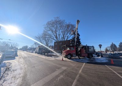 Service d'Élagage d'arbres sur la Rive-nord à Saint-François - Service d'entretien d'arbres Viau