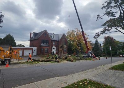 Service d'élagage d'arbre à Châteauguay - Service d'entretien d'arbres Viau