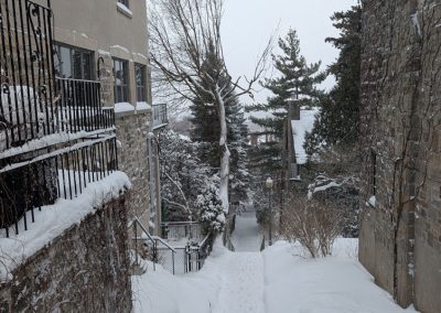 Service d'émondage d'arbre à Brossard et ses environs - Service d'entretien d'arbres Viau