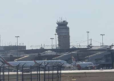 Aéroport de Montréal - Service haubanage arbre à Montréal - Arbre Viau