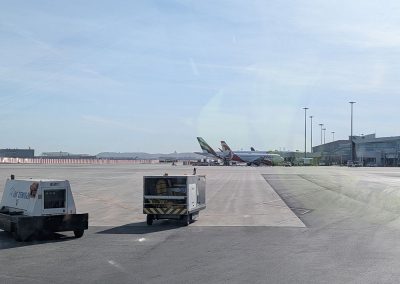 Environ de l'Aéroport de Montréal - Service haubanage arbre à Montréal - Arbre Viau