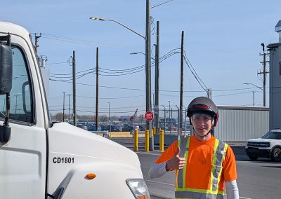 Haubanage en cours à Aeroport de Montréal - Service haubanage Arbre dans la grande ville de Montréal - Arbre Viau