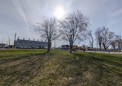 Service Haubanage pour Aeroport de Montréal - Haubanage Arbre dans la région de Montréal - Abres Viau